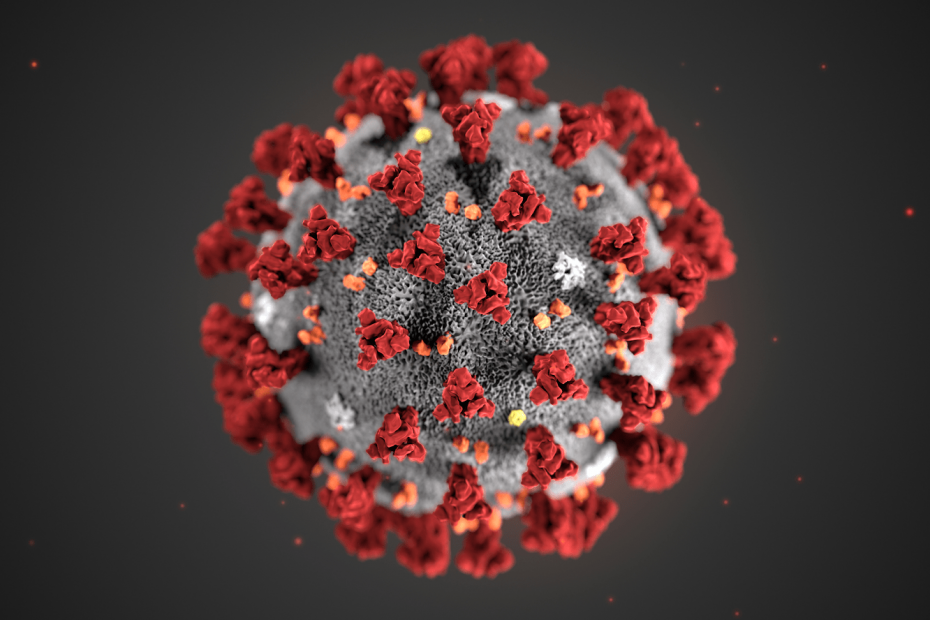 help fight coronavirus like the colored red and grey virus molecule shown here