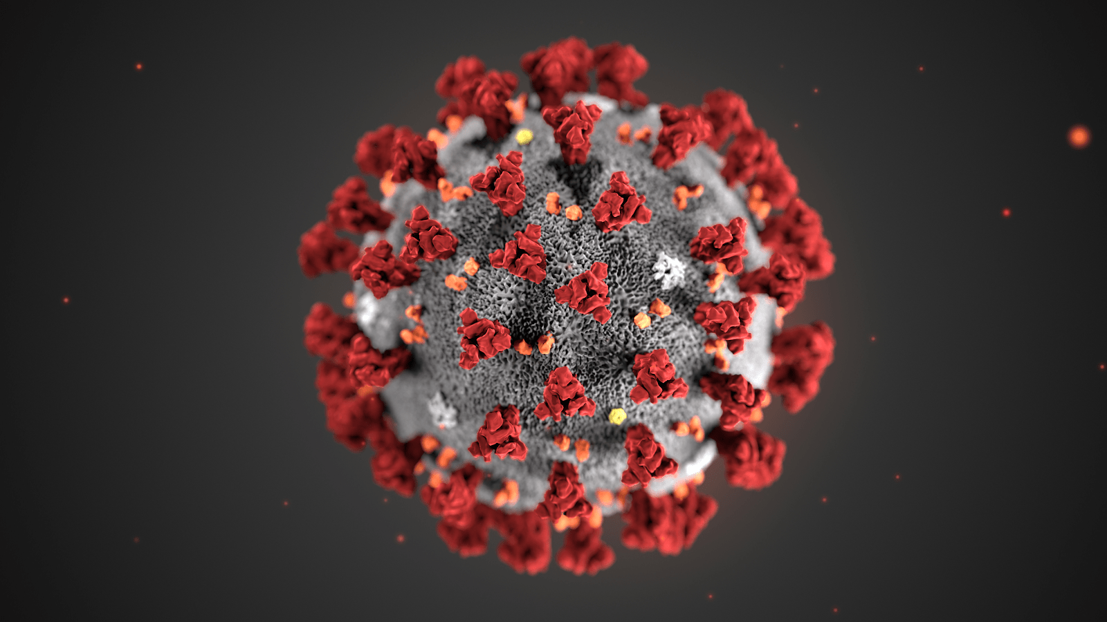 help fight coronavirus like the colred red and grey virus molecule shown here